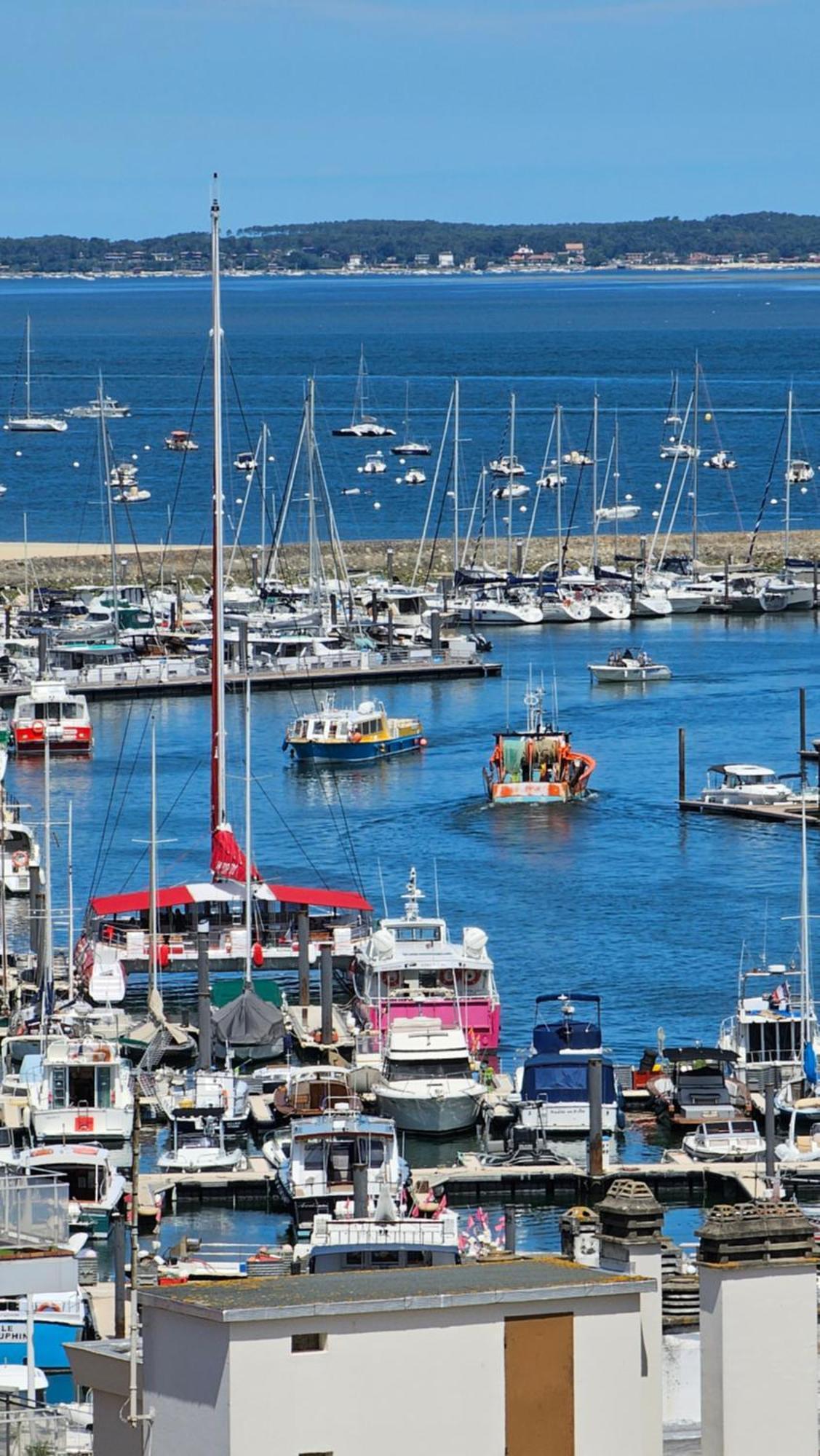 Vue Panoramique Sur Bassin,Piscine Et Terrasse Apartment Arcachon Ngoại thất bức ảnh
